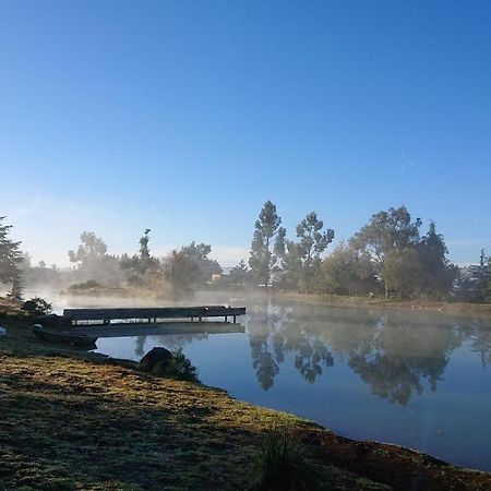 Cabanas Tapalpa Sierra Del Tecuan, Cabana Lince Buitenkant foto