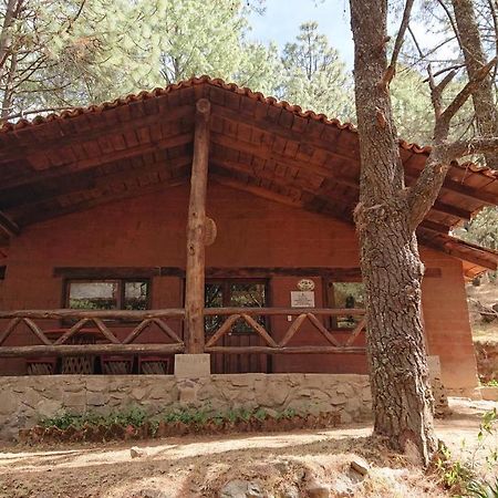 Cabanas Tapalpa Sierra Del Tecuan, Cabana Lince Buitenkant foto