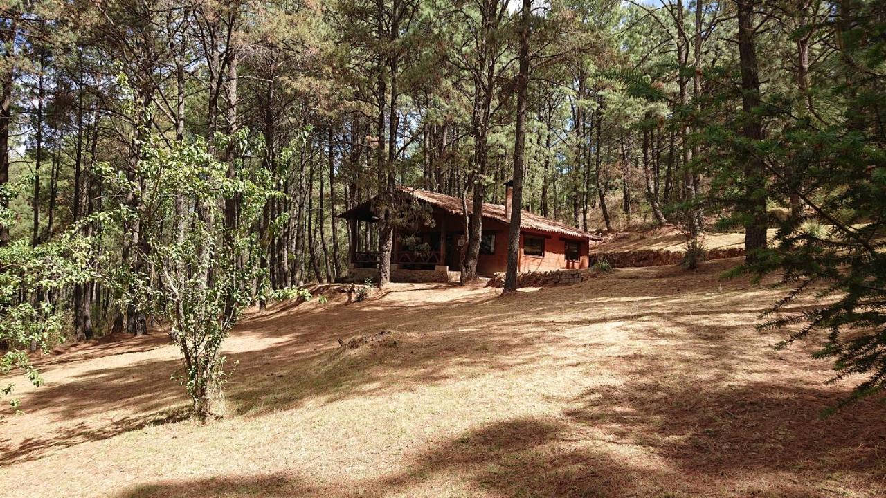 Cabanas Tapalpa Sierra Del Tecuan, Cabana Lince Buitenkant foto